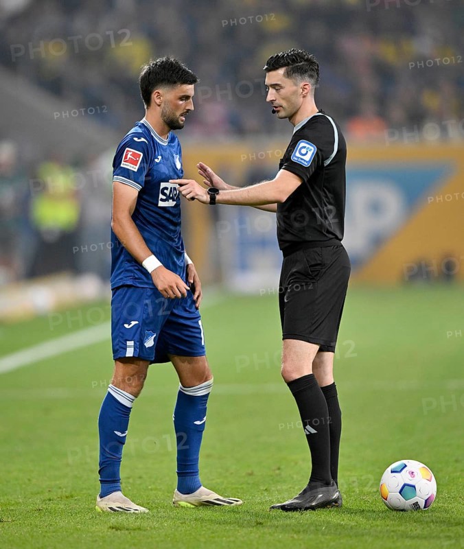 Florian Grillitsch TSG 1899 Hoffenheim