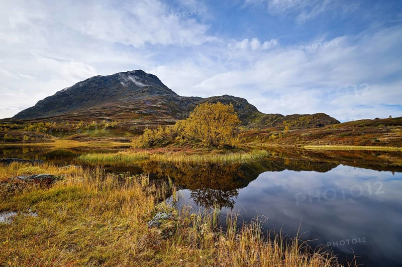 Bog lake in autumn
