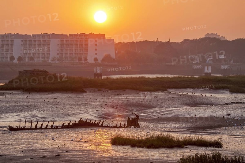 Salt marsh and mudflats at the nature reserve De IJzermonding at Nieuwpoort