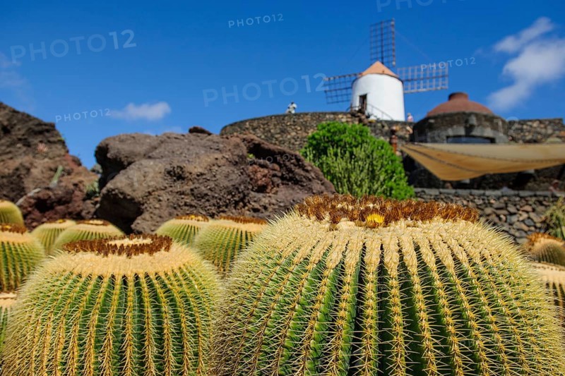 View of old windmill of Guatiza in the background at the edge of former quarry today cactus garden Jardin de Cactus