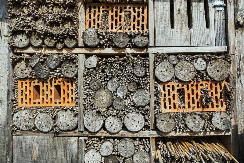 Insect hotel for solitary bees and artificial nesting place for other insects