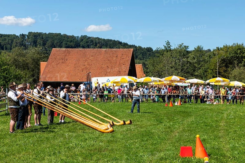 Alphorn blowers