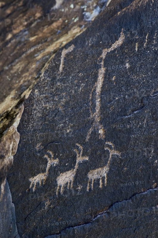 Ancient petroglyphs near Puerco Pueblo made by ancestral Puebloan people showing anthropomorphs
