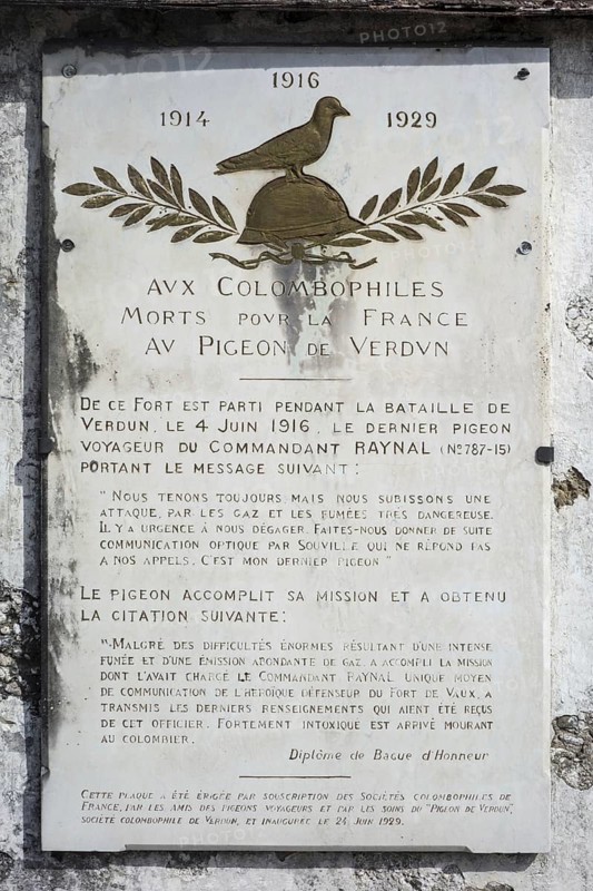 Commemoration plaque for homing pigeon at the First World War One Fort de Vaux at Vaux-Devant-Damloup
