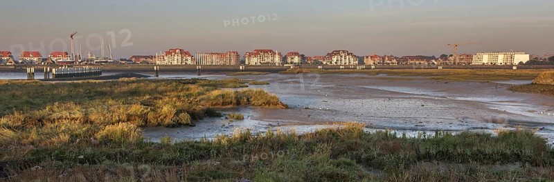 Salt marsh and mudflats at the nature reserve De IJzermonding at Nieuwpoort
