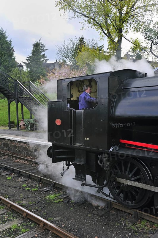 Engine driver in steam engine