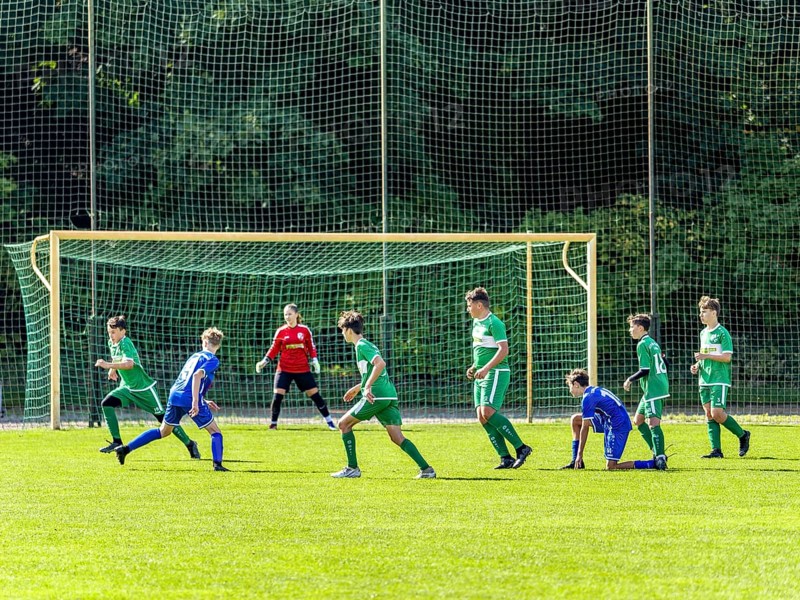 Soccer ball youth game and training