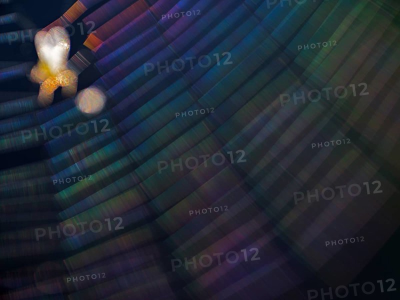 Insect caught in coloured spider's web in backlight