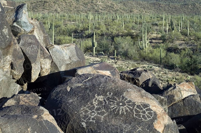 Rock art at Signal Hill
