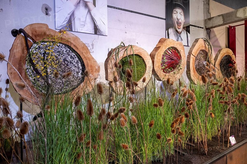 Thematic flower arrangements on various feelings such as worry