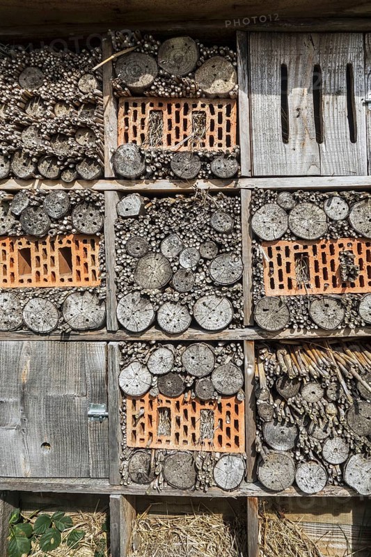 Insect hotel for solitary bees and artificial nesting place for other insects