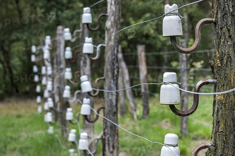 Porcelain pin insulators and Wire of Death