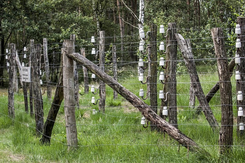 Porcelain pin insulators and Wire of Death