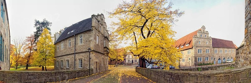 Autumn panorama court lime tree in front of Stadthagen Castle Germany