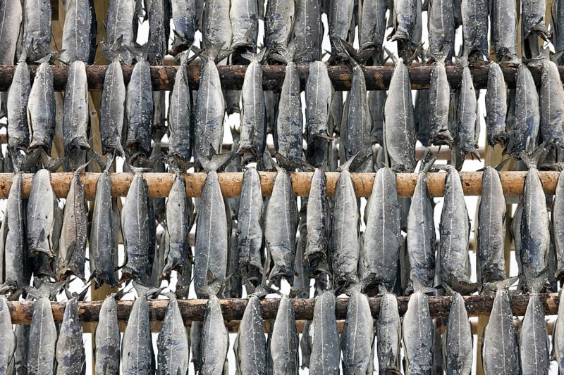 Atlantic cod