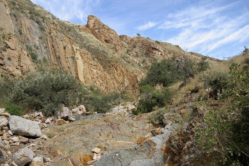 Olive Trail in Namib Naukluft
