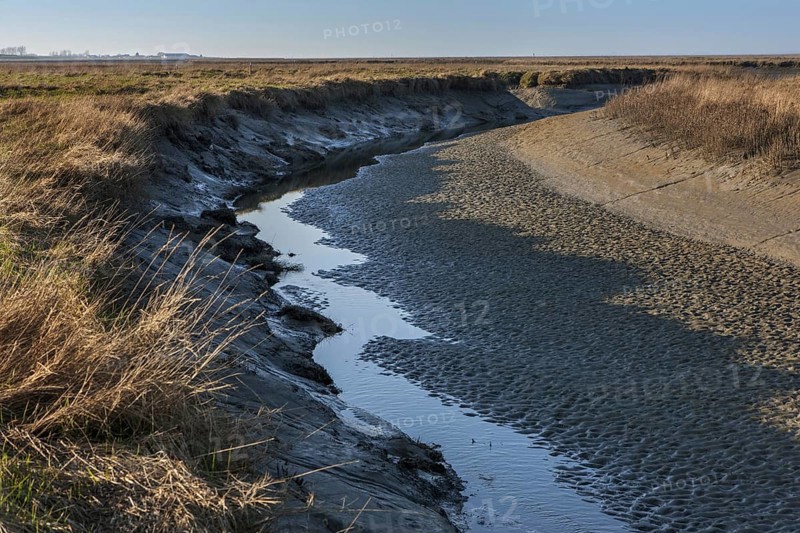 Mudflat in the Verdronken Land van Saeftinghe