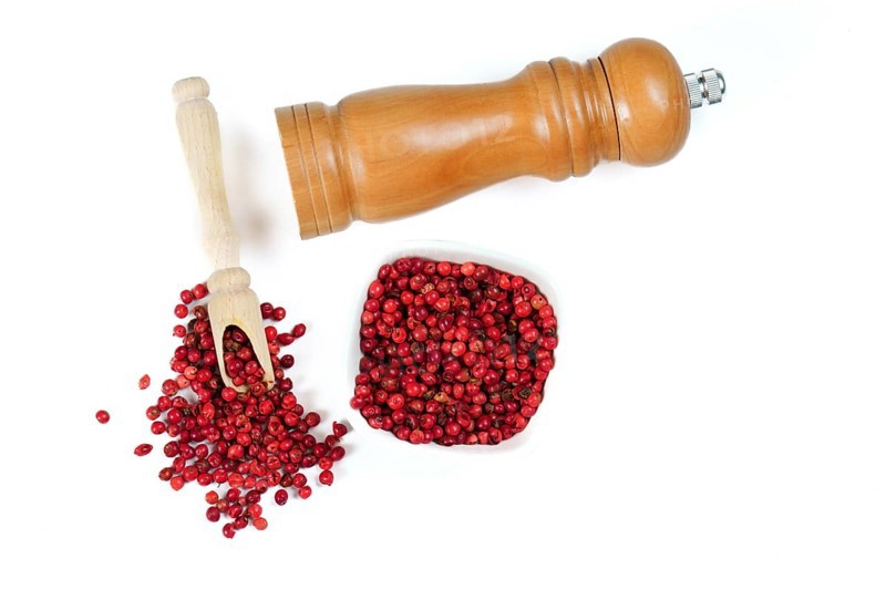 Pink peppercorns in a wooden spoon with a wooden pepper shaker isolated on a white background and copy space