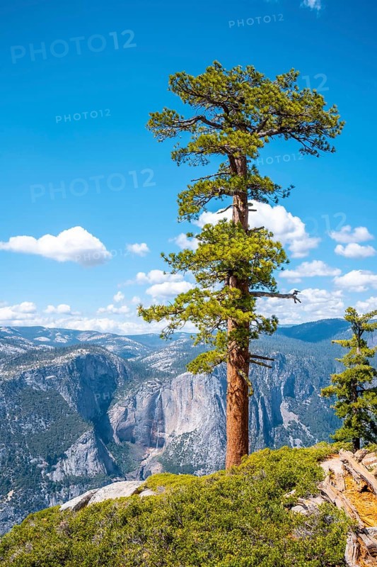 Upper Yosemite Fall from Sentinel Dome