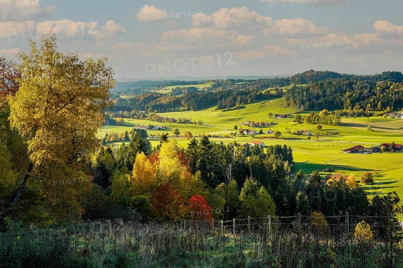 Landscape around Maierhoefen in the Allgaeu in autumn with meadows