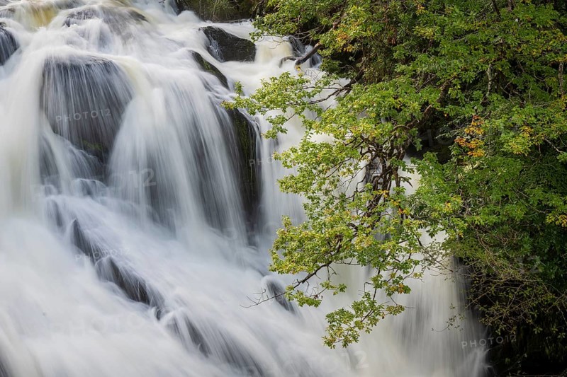 Swallow Falls