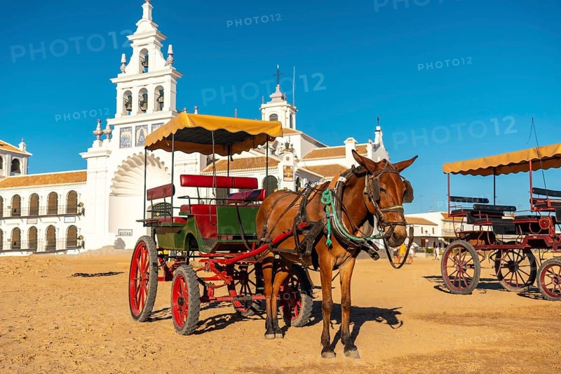 Horse carriages at the Rocio festival in the Rocio sanctuary. Huelva. Andalusia