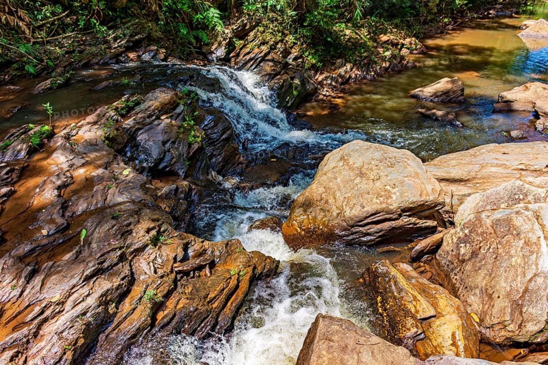 Stream of calm waters between rocks and surrounded by vegetation