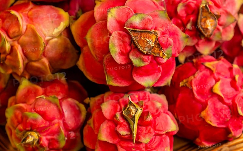 Pitahaya at the Farmers Market in the Madeira city of Funchal. Portugal