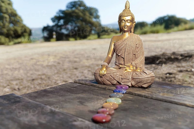 Statue of buddha in the field on a sunlit wooden table with chakra stones in a row
