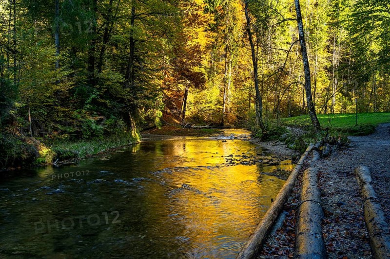 The Eistobel nature reserve