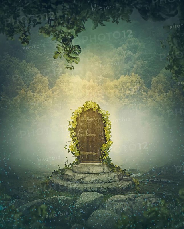 The fairytale door in the woods. Magical fantasy scene in the forest with a gate as portal to wonderland