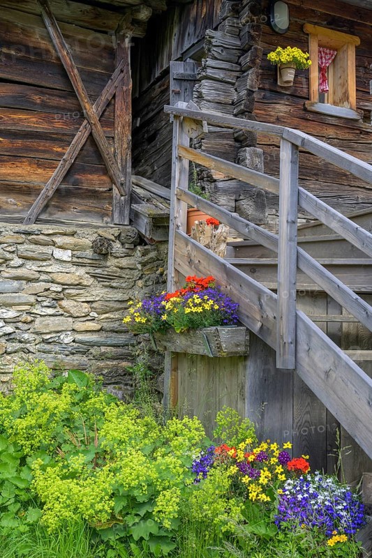 Old alpine hut with flowers on the Fane Alm