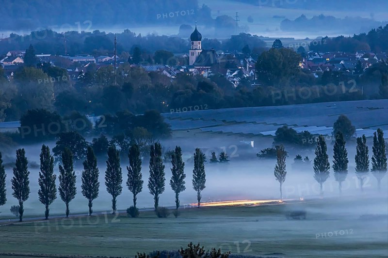 Morning atmosphere at Lake Constance