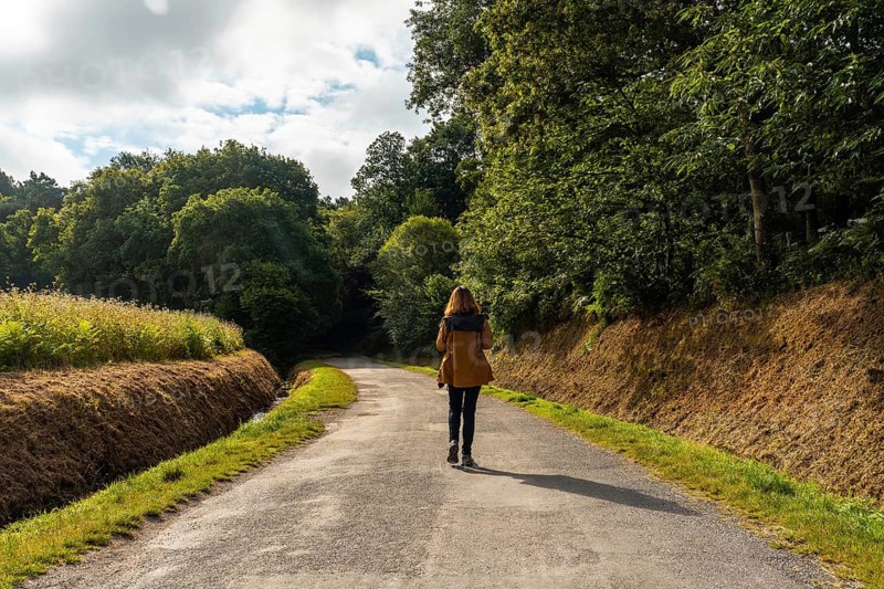 Brocelianda Forest Trail is a French mystical forest located in the Ille-et-Vilaine department