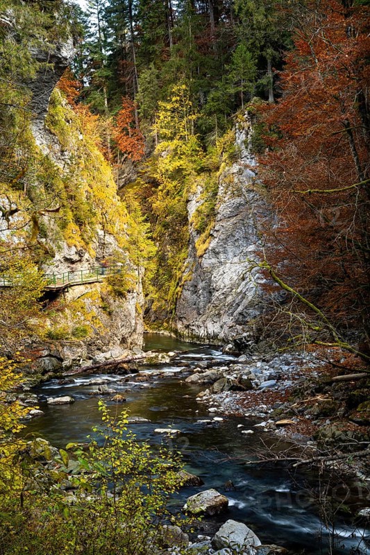The Breitachklamm gorge with the Breitach river in autumn. A rock face and trees in autumn leaves. The circular path runs along the left rock face. Oberstdorf