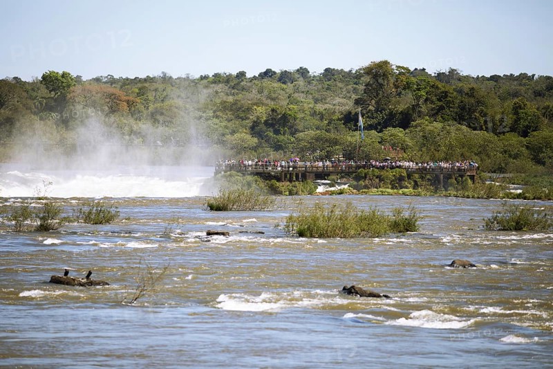 Argentine viewing platform at Rio Iguacu or Iguazu River