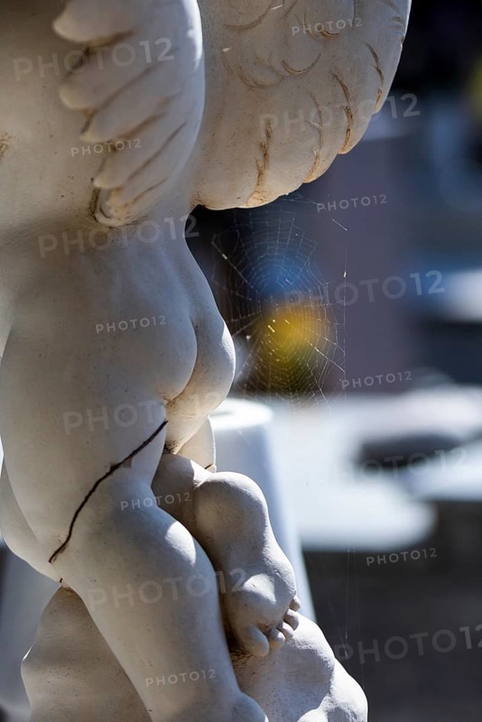 Butt of a morbid