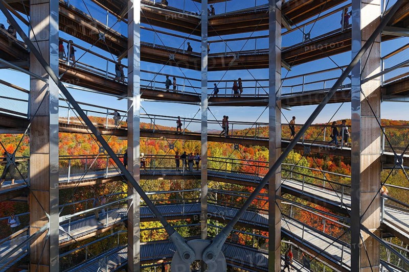 Tree top pad