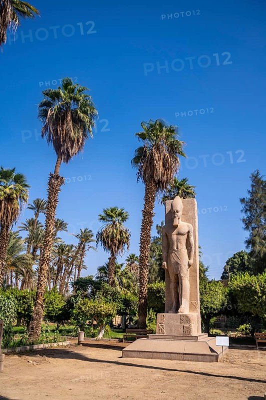 Detail of the sculpture between the palm trees of Pharaoh Ramses II at Memphis in Cairo