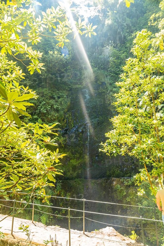 A small waterfall in summer at the Levada do Caldeirao Verde
