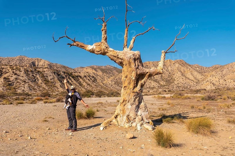 A young hiker girl visiting the tree of misfortune near the desert canyon of Tabernas