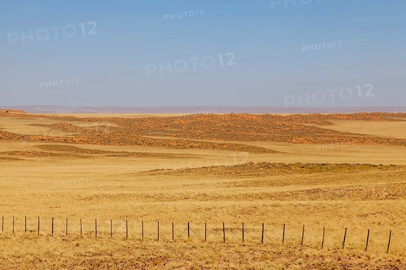 Landscape on the main road C14