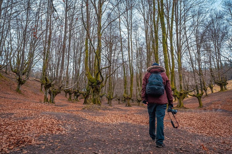 A young man walking through the Otzarreta Forest in the Gorbea natural park