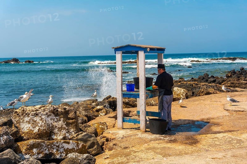 A fish cutter from a restaurant in the tourist town of El Cotillo in the north of the island of Fuerteventura