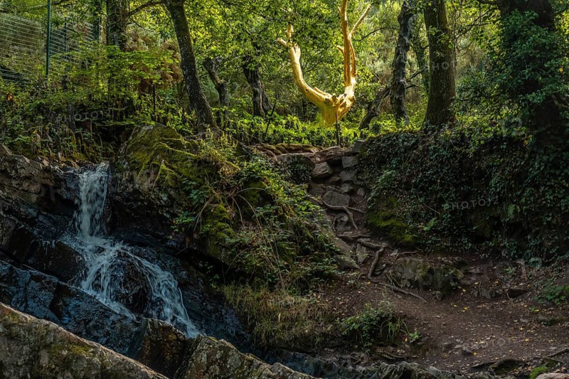 A waterfall in the Arbre D'or in the Broceliande forest