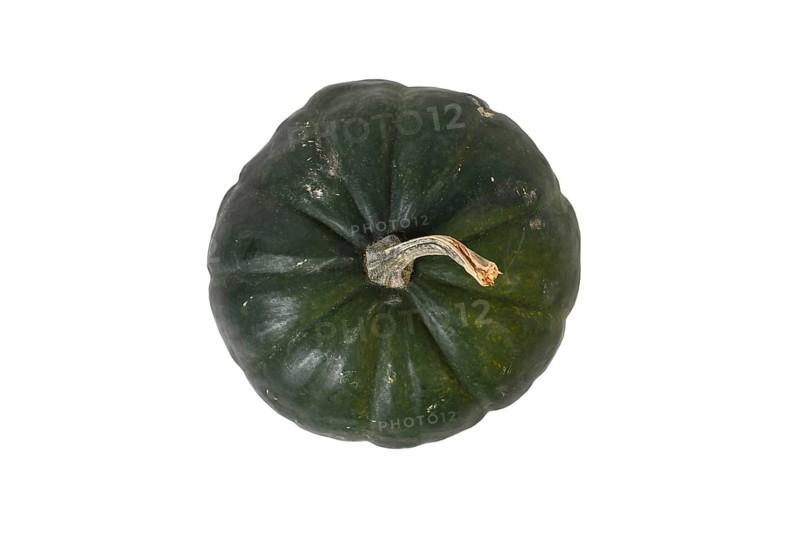 Top view of dark 'Black Kat F1' acorn squash with dark green