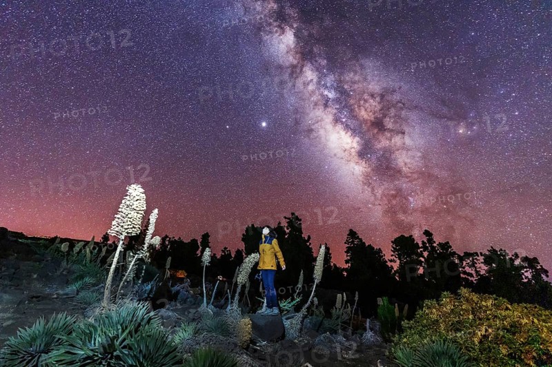 One of the best Milky Ways in the world in the Caldera de Taburiente near Roque de los Muchahos on the island of La Palma