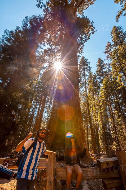 A couple in the giant General Sherman Tree tree in Sequoia National Park