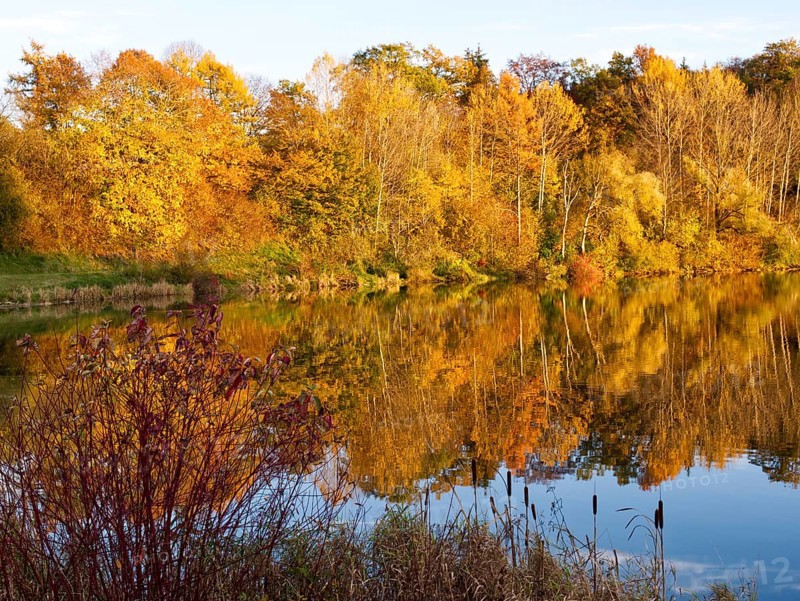 Golden autumn forest with reflection in the lake near Haslach