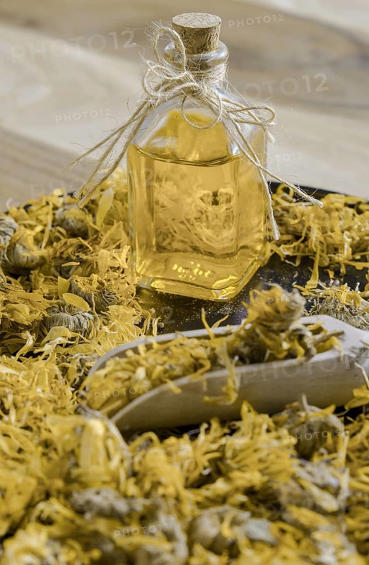 Dried calendula flowers